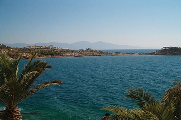 Kuşadası Transfer