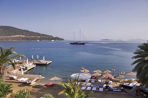 Torba Transfers