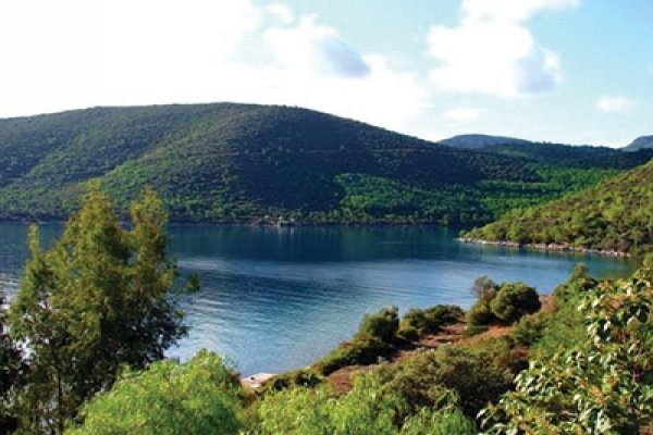 Türkbükü Transfer