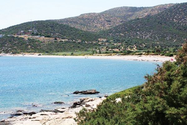 Yaliciftlik Transfers